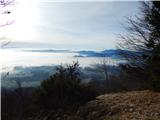 Bašelj - Planina Kališče